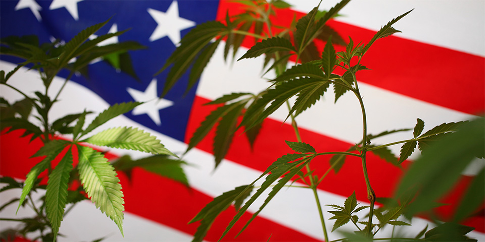 Legalization Day in the U.S.