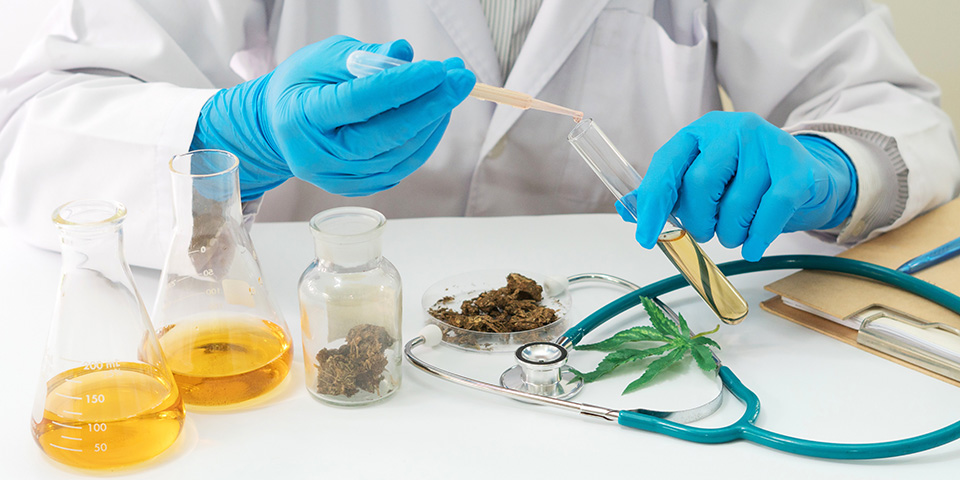 Why safety is important in cannabis extraction facilities
